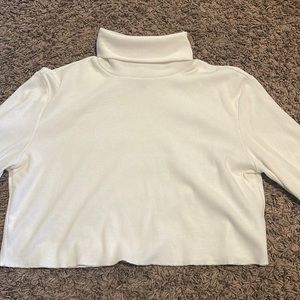 cropped turtle neck